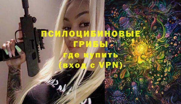 ALPHA PVP Белокуриха