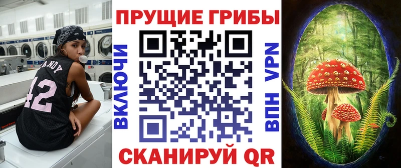 Галлюциногенные грибы Magic Shrooms  Кодинск 